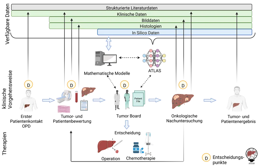 ATLAS - AI and Simulation for Tumor Liver ASsessment