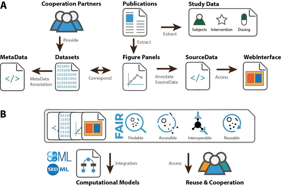 Stratification and personalization of computational models