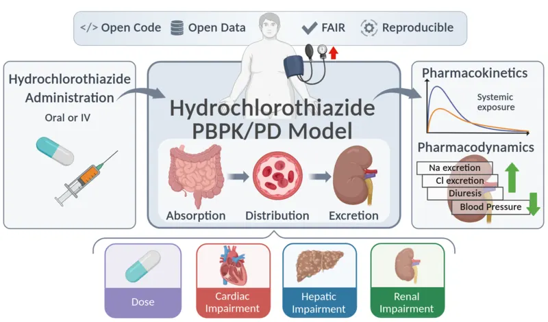 Digital twins for blood pressure regulation