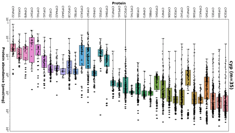 Protein distributions in the human liver