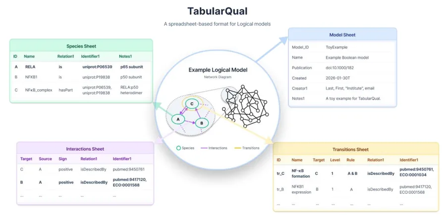 TabularQual: A spreadsheet-based format for logical models