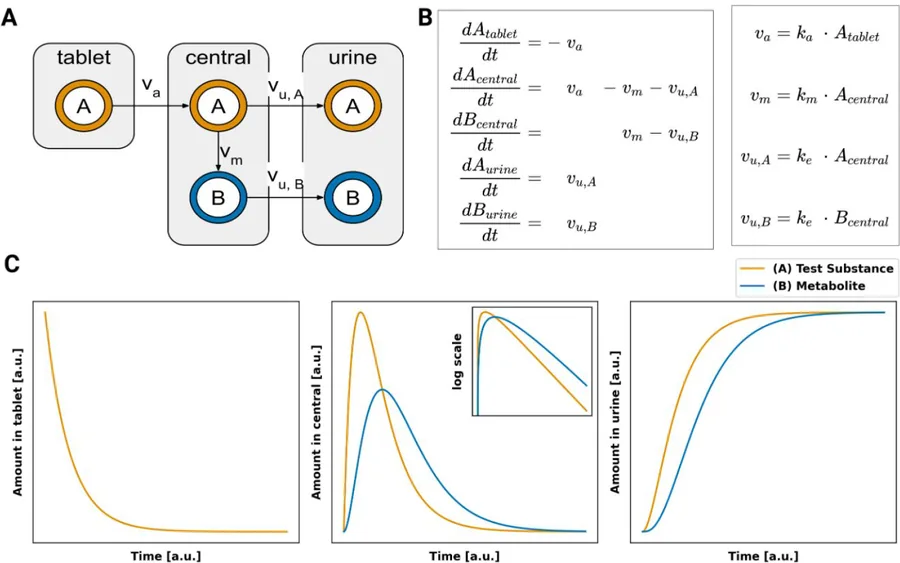 Theory, tools and methods in biology