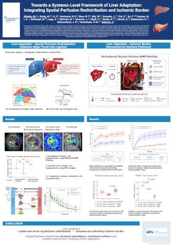 Modelling of Patient-Specific Liver Vasculature and Sorafenib Pharmacokinetics in Hepatocellular Carcinoma