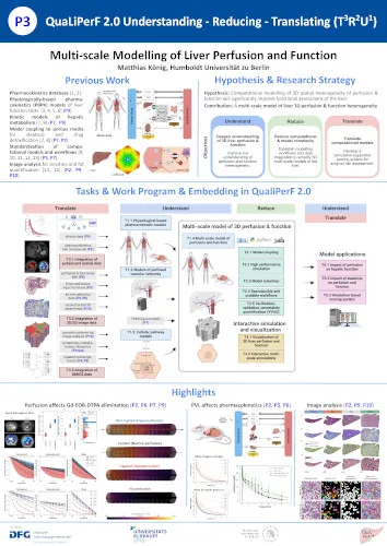 Multi-scale Modelling of Liver Perfusion and Function