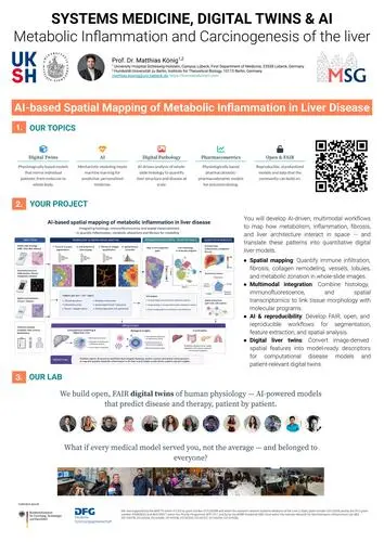 AI-based Spatial Mapping of Metabolic Inflammation in Liver Disease