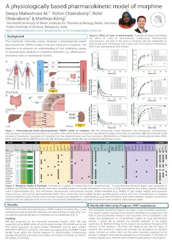 A physiologically based pharmacokinetic model of morphine