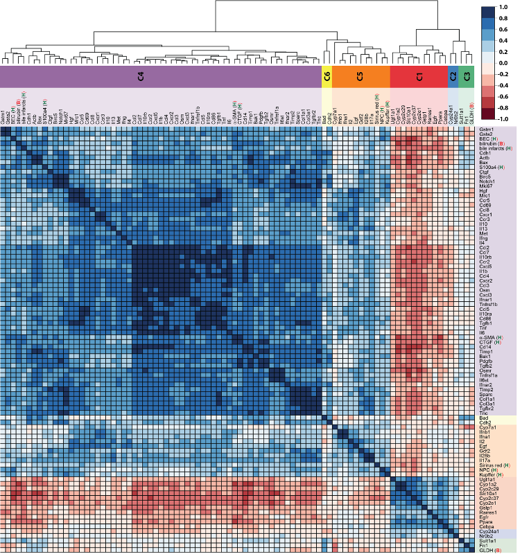 Biomarker signatures in liver disease