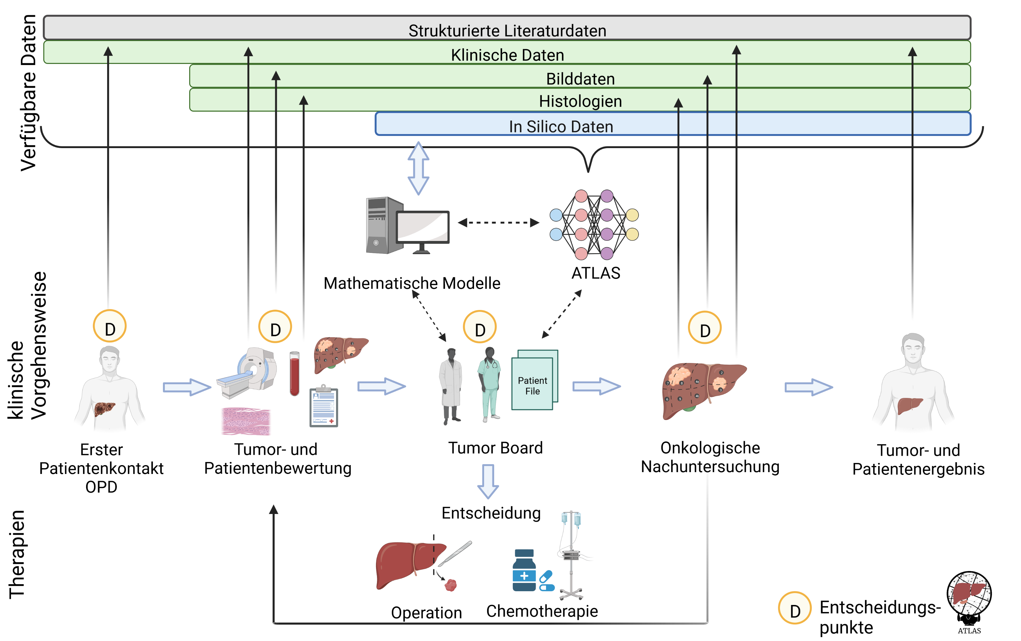 ATLAS - AI and Simulation for Tumor Liver ASsessment