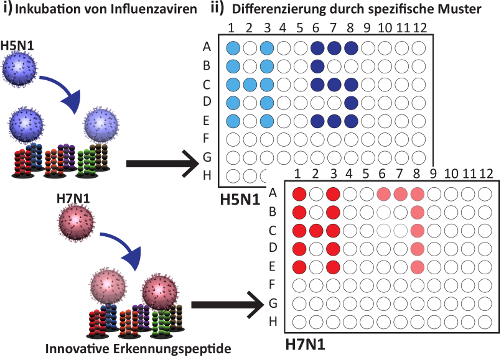 FluType: Influenza Classification based on Machine Learning